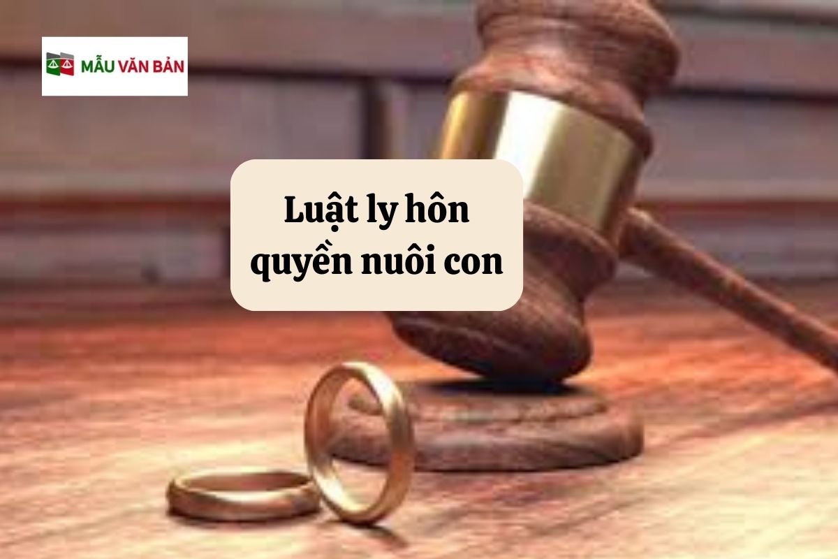 15.5.4 Luật ly hôn quyền nuôi con.jpg