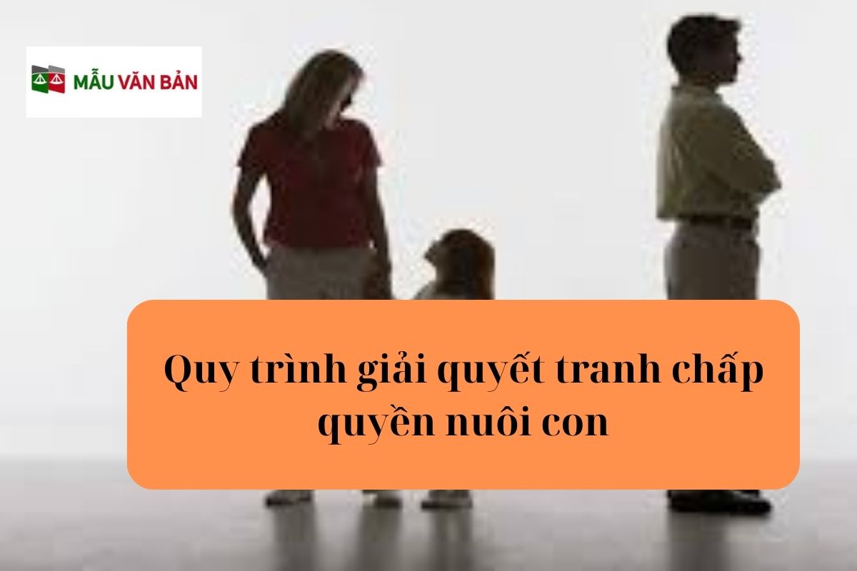 15.5.6 Quy trình giải quyết tranh chấp quyền nuôi con.jpg
