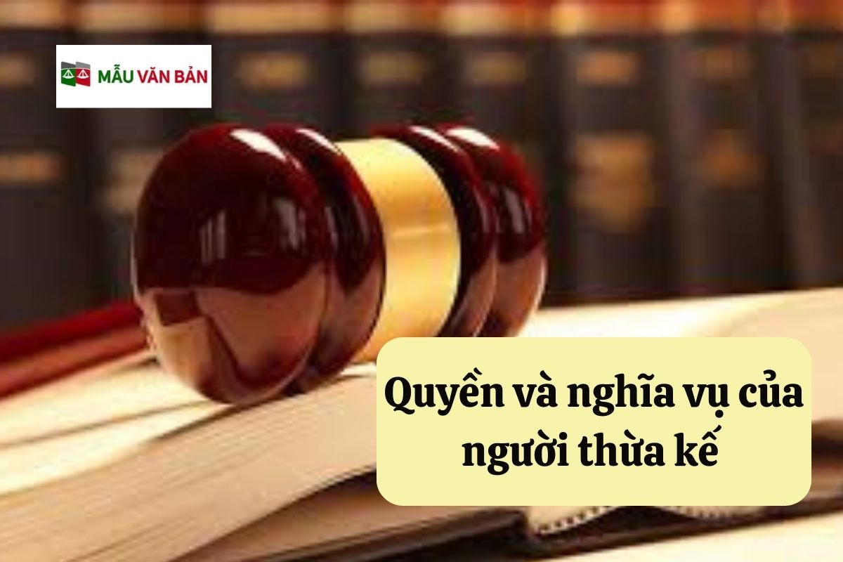 16.5.6 Quyền và nghĩa vụ của người thừa kế.jpg