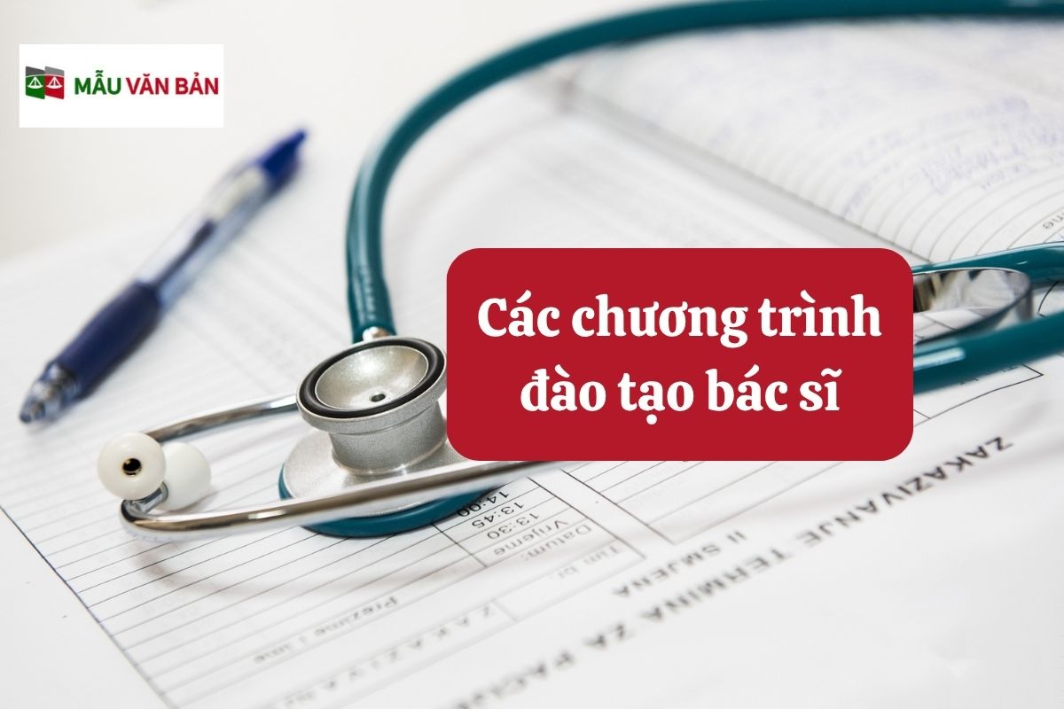28.5.10 Các chương trình đào tạo bác sĩ.jpg