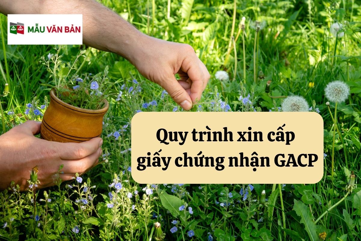 28.5.16 Quy trình xin cấp  giấy chứng nhận GACP.jpg