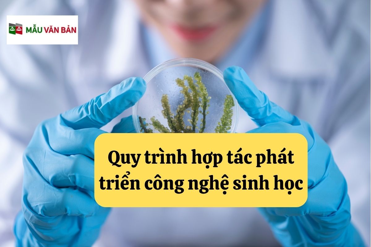 28.5.7 Quy trình hợp tác phát triển công nghệ sinh học.jpg