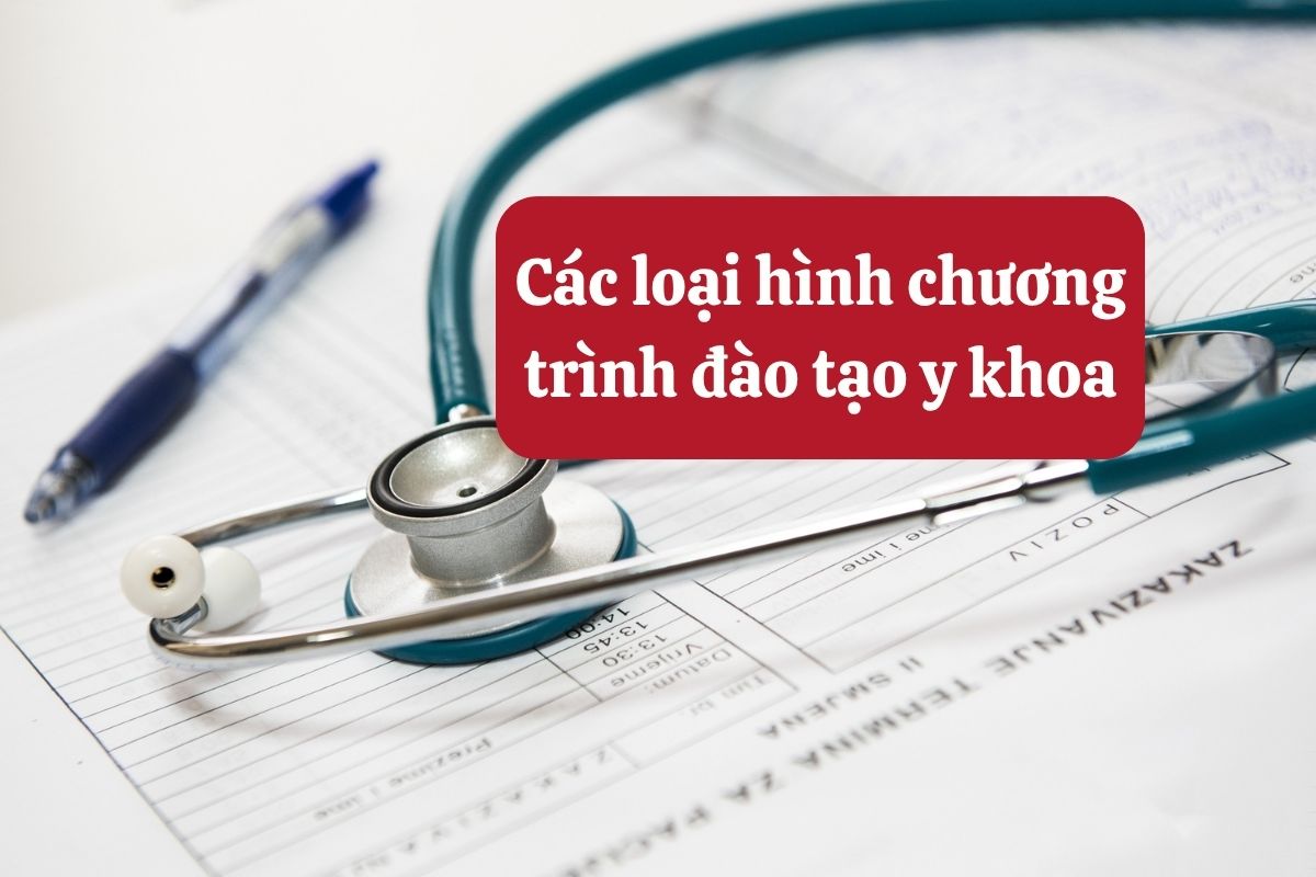 28.5.8 Các loại hình chương trình đào tạo y khoa.jpg