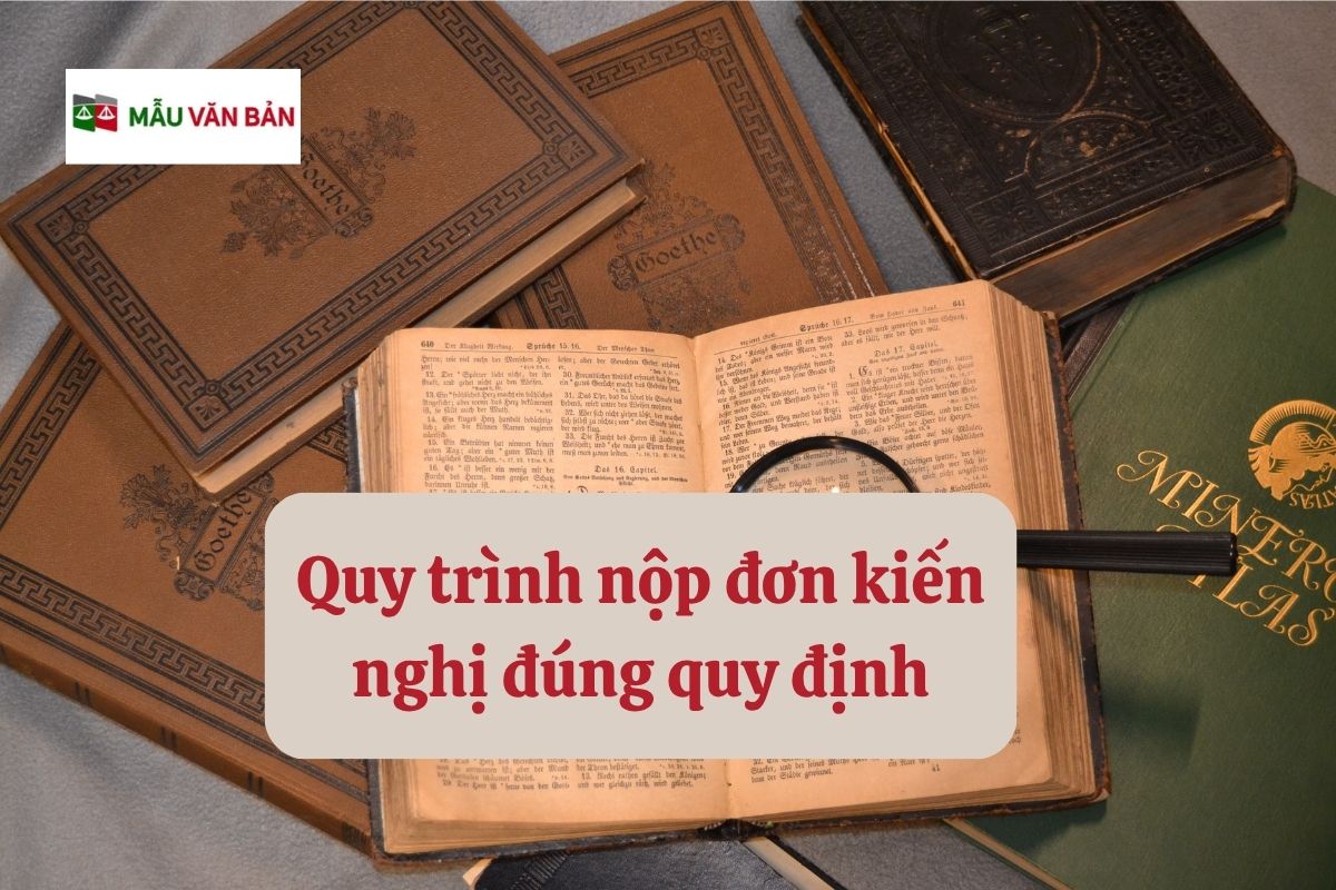 29.5.1 Quy trình nộp đơn kiến nghị đúng quy định.jpg