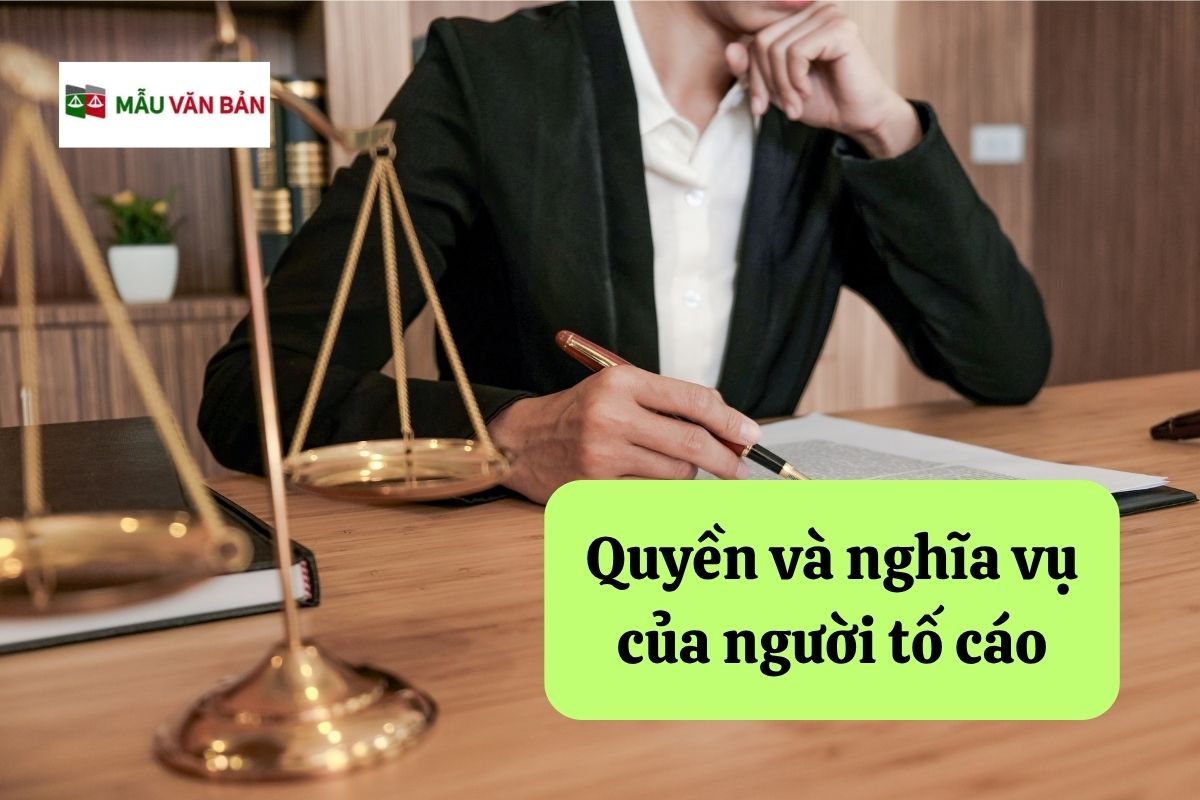 29.5.5 Quyền và nghĩa vụ của người tố cáo.jpg