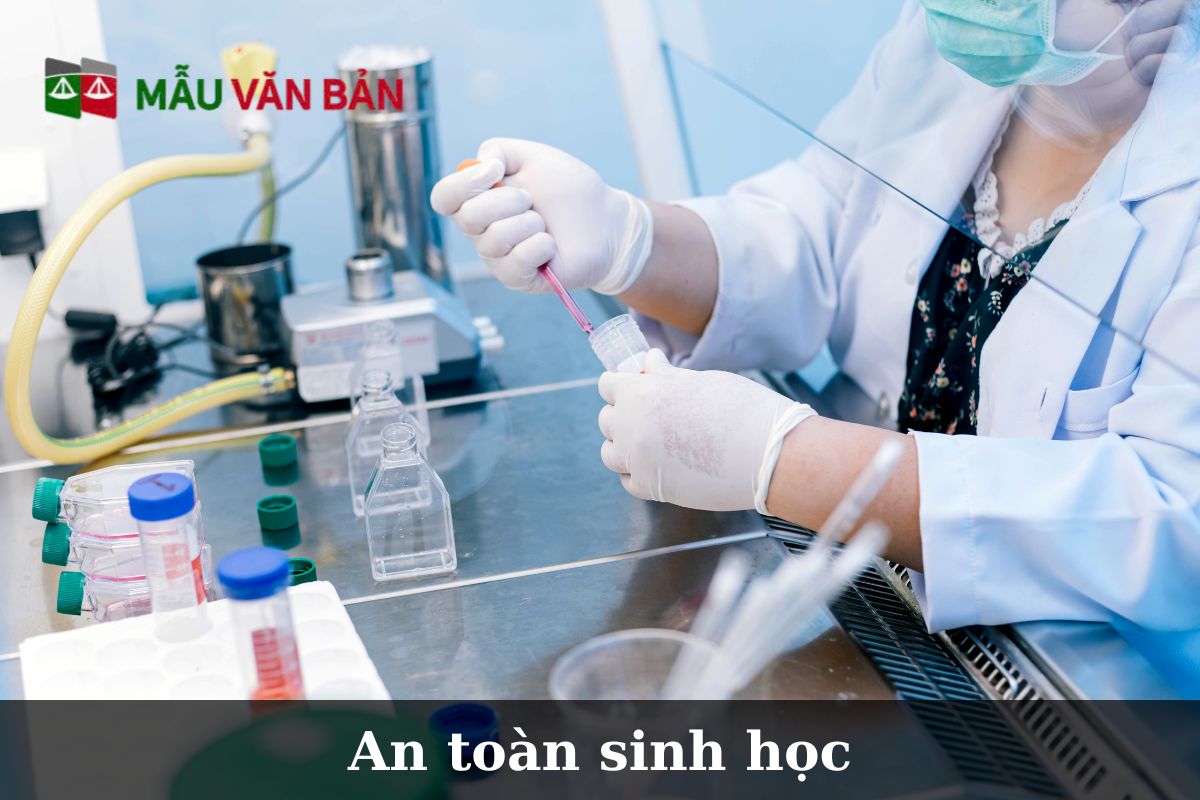 An toàn sinh học.jpg