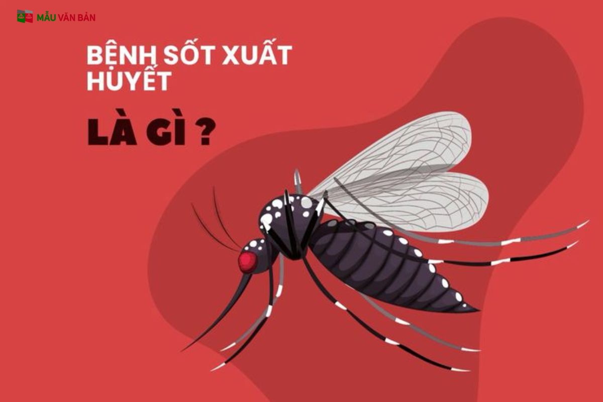BỆNH SỐT XUẤT HUYẾT.jpg