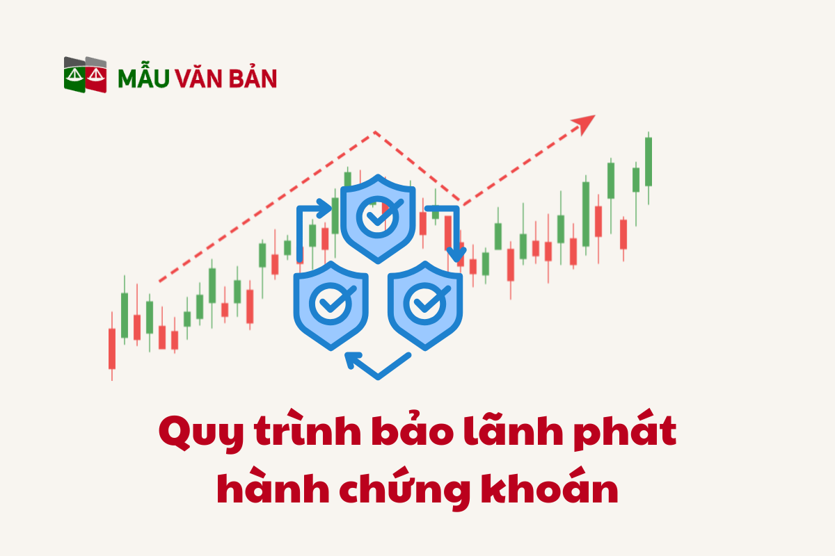 Bảo Lãnh Phát Hành Chứng Khoán_3.png
