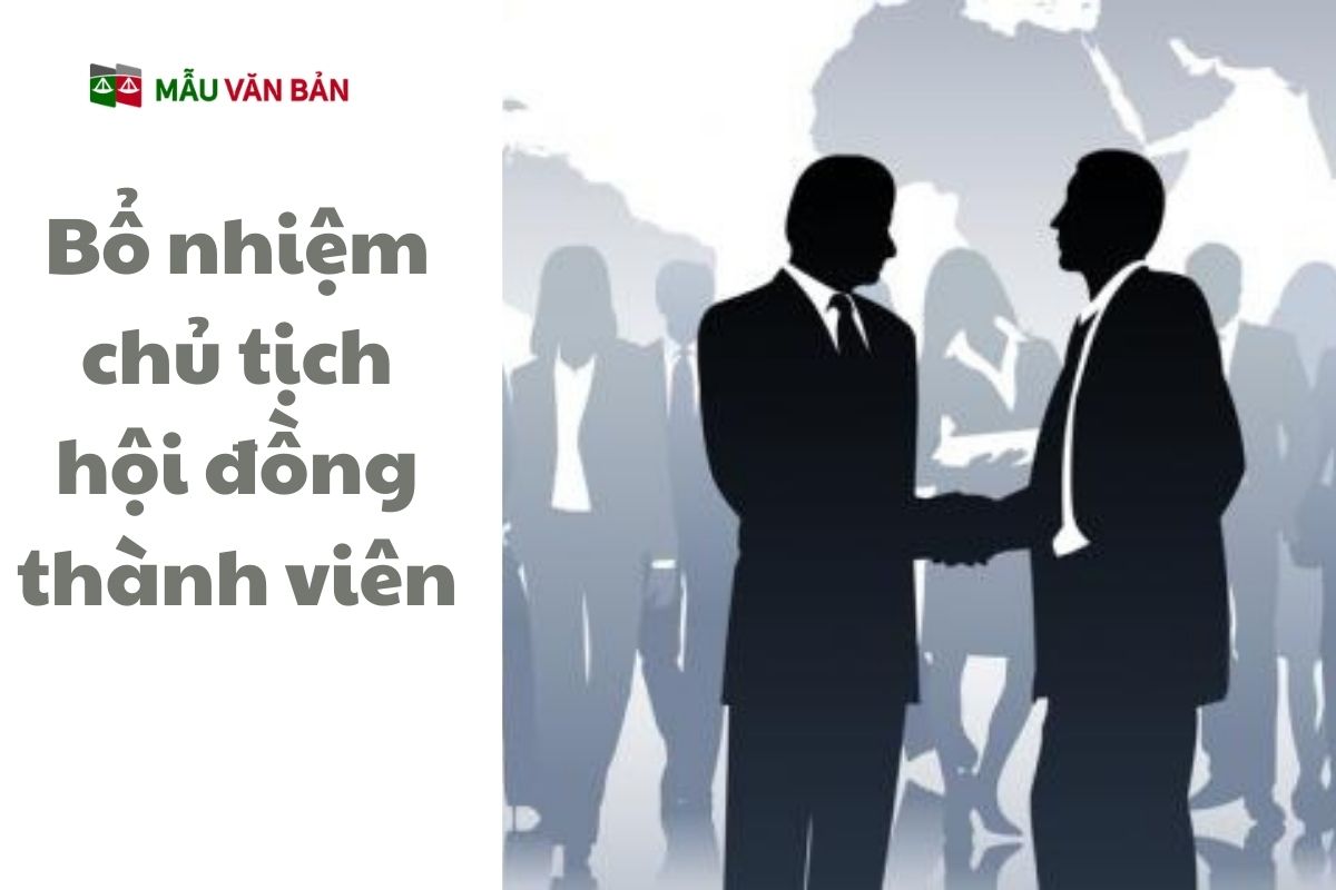 Bổ nhiệm chủ tịch hội đồng thành viên.jpg