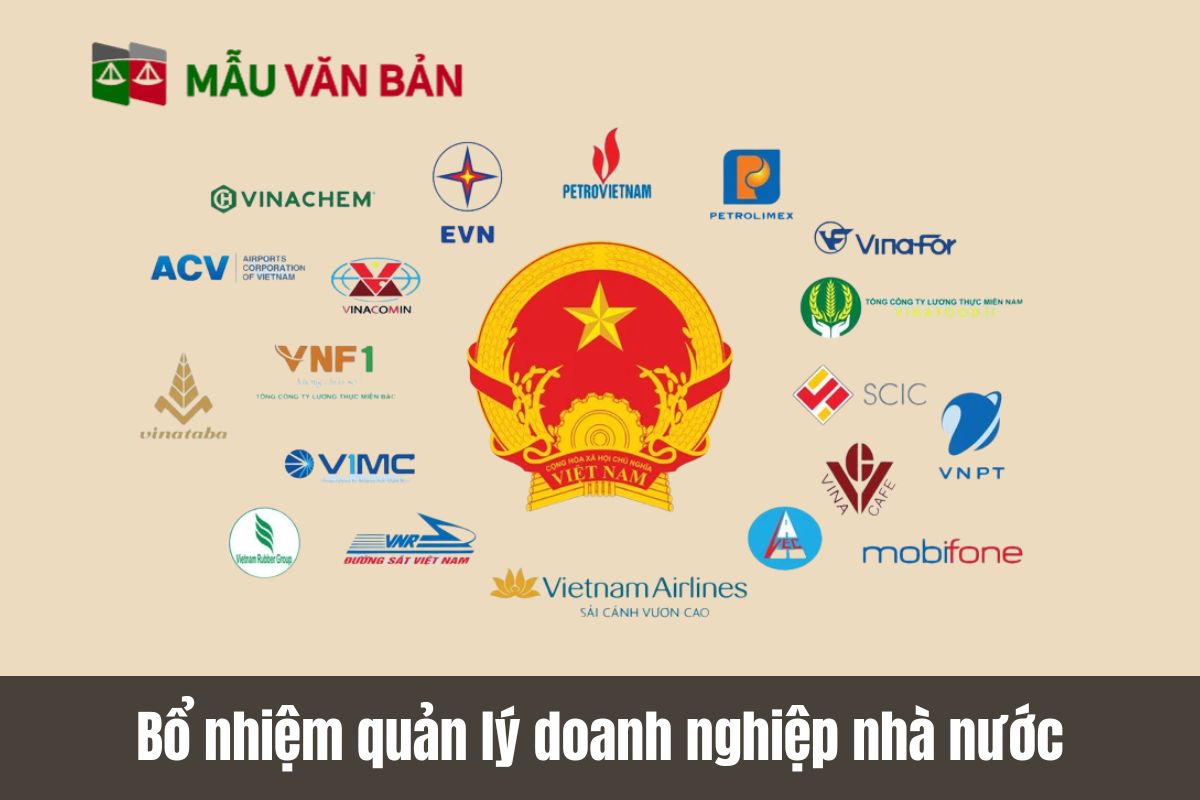 Bổ nhiệm quản lý doanh nghiệp nhà nước