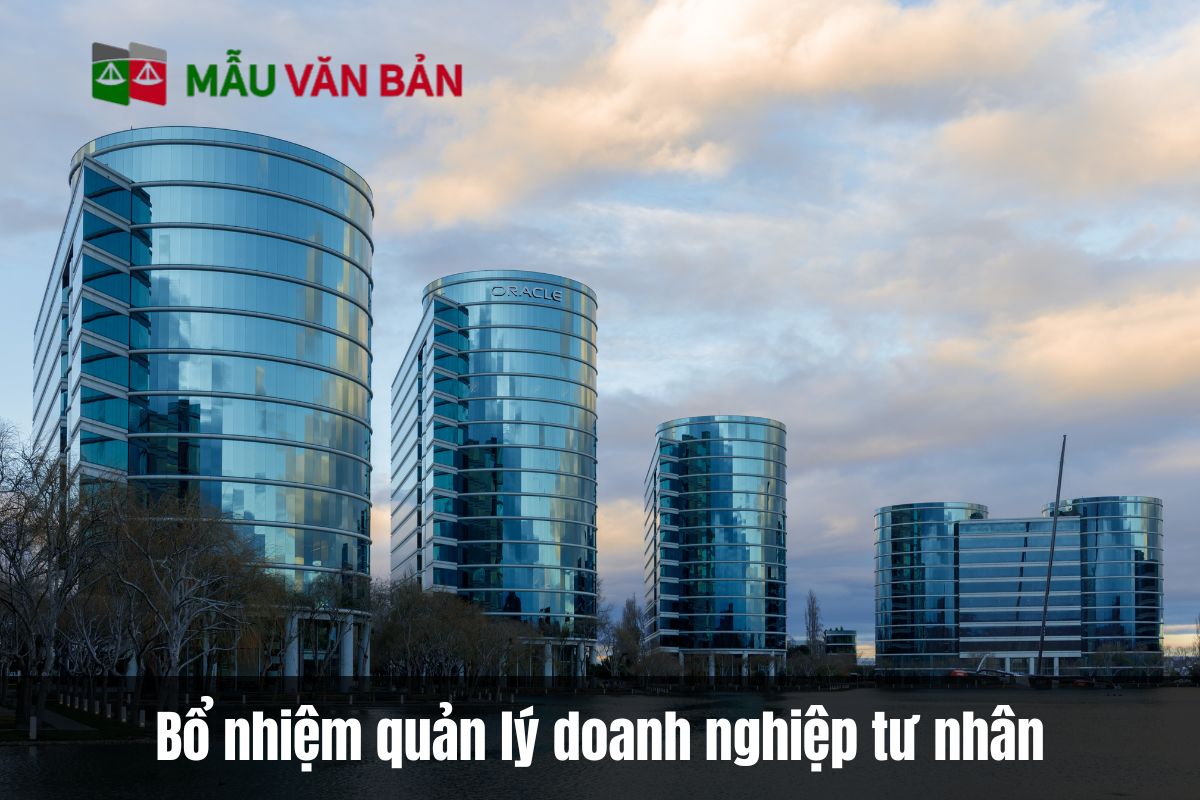 Bổ nhiệm quản lý doanh nghiệp tư nhân