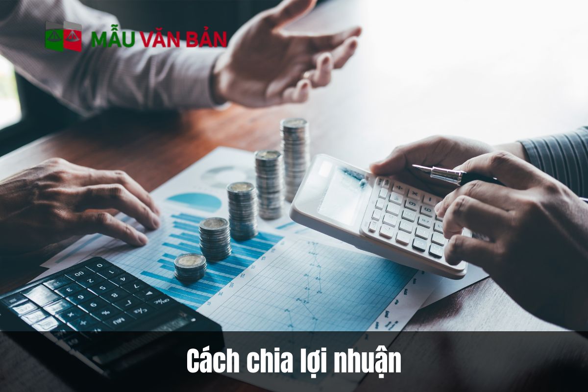 Cách chia lợi nhuận trong các loại hình doanh nghiệp