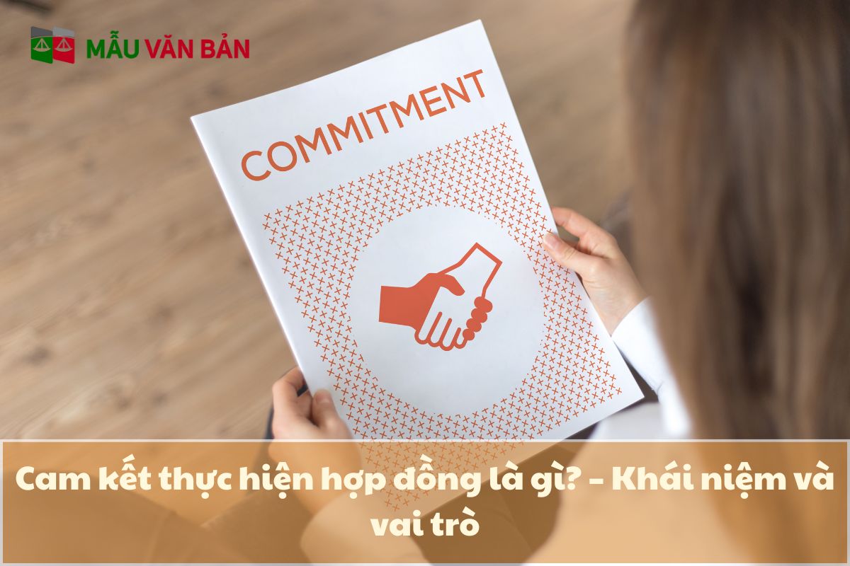 Cam kết thực hiện hợp đồng là gì.jpg
