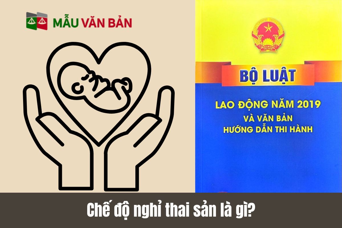Chế độ nghỉ thai sản là gì
