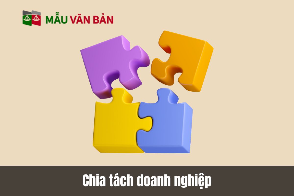 Chia tách doanh nghiệp