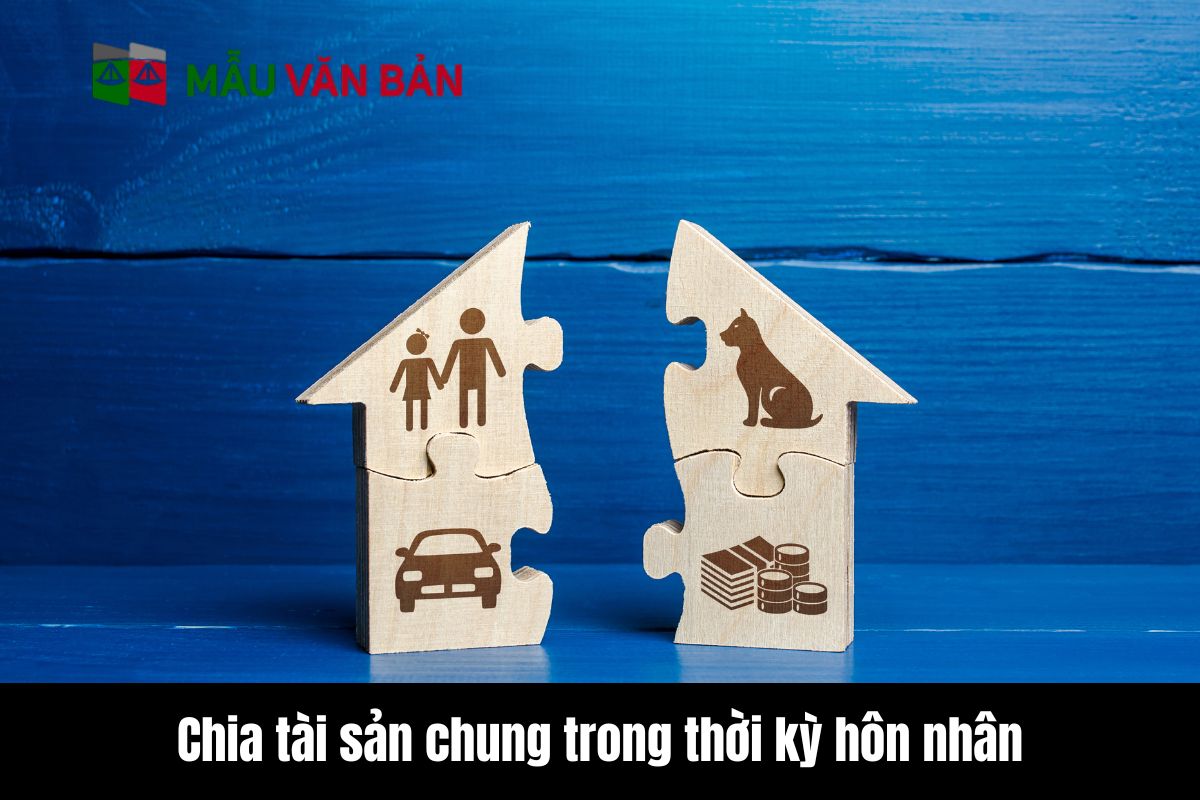 Chia tài sản chung trong thời kỳ hôn nhân