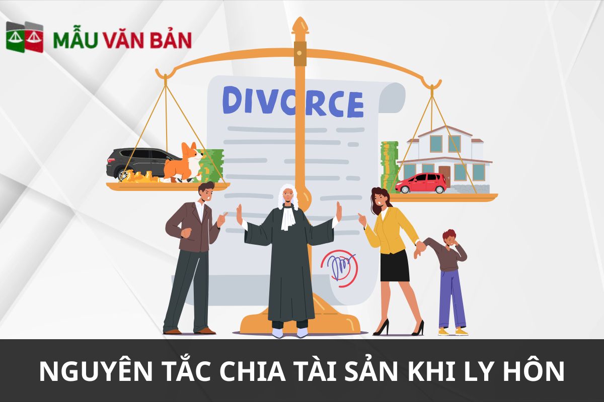 Chia tài sản ly hôn đơn phương  (1).jpg