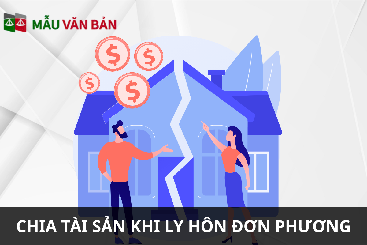 Chia tài sản ly hôn đơn phương .png