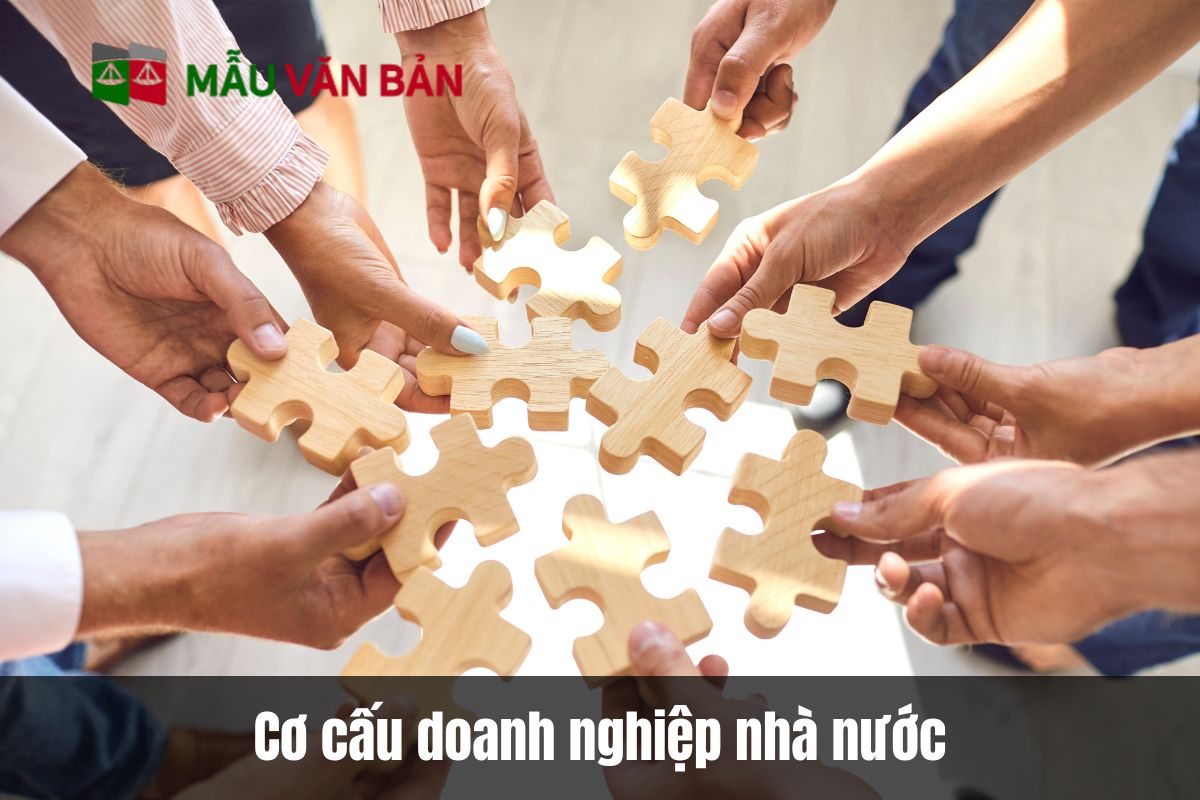 Cơ cấu doanh nghiệp nhà nước