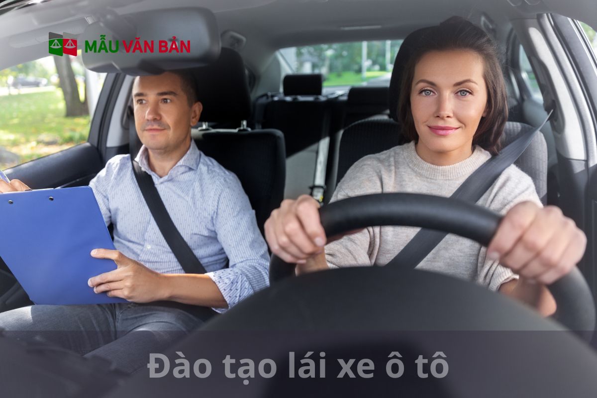 Đào tạo lái xe ô tô (2).jpg