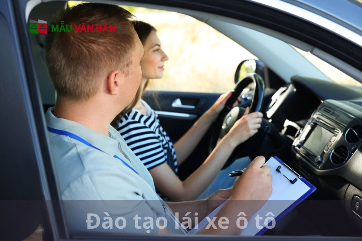 Đào tạo lái xe ô tô (3).jpg