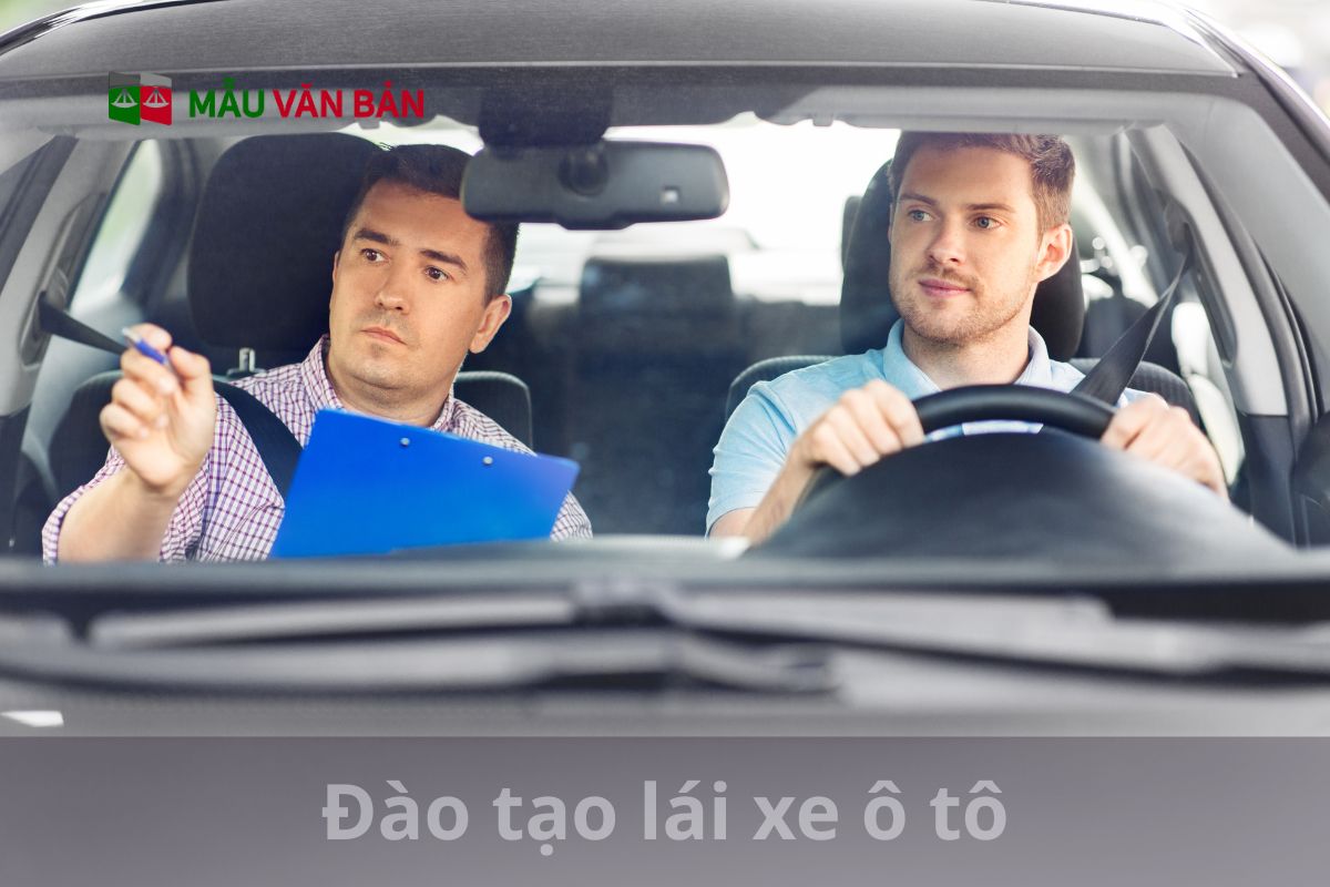 Đào tạo lái xe ô tô.jpg