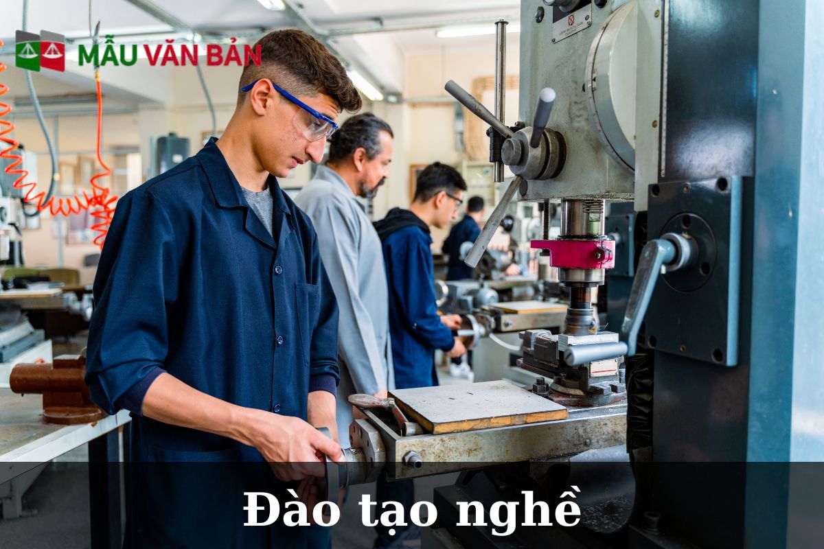Định nghĩa và vai trò của đào tạo nghề