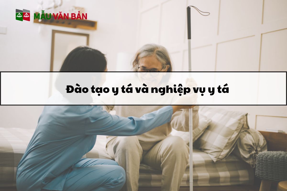 Đào tạo y tá và nghiệp vụ y tá_ Khái niệm và vai trò.jpg
