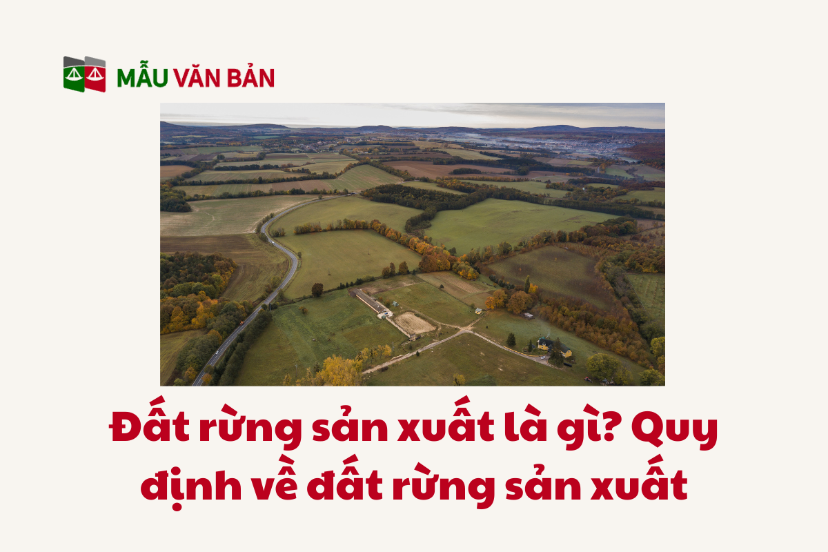 Đất Rừng_3.png