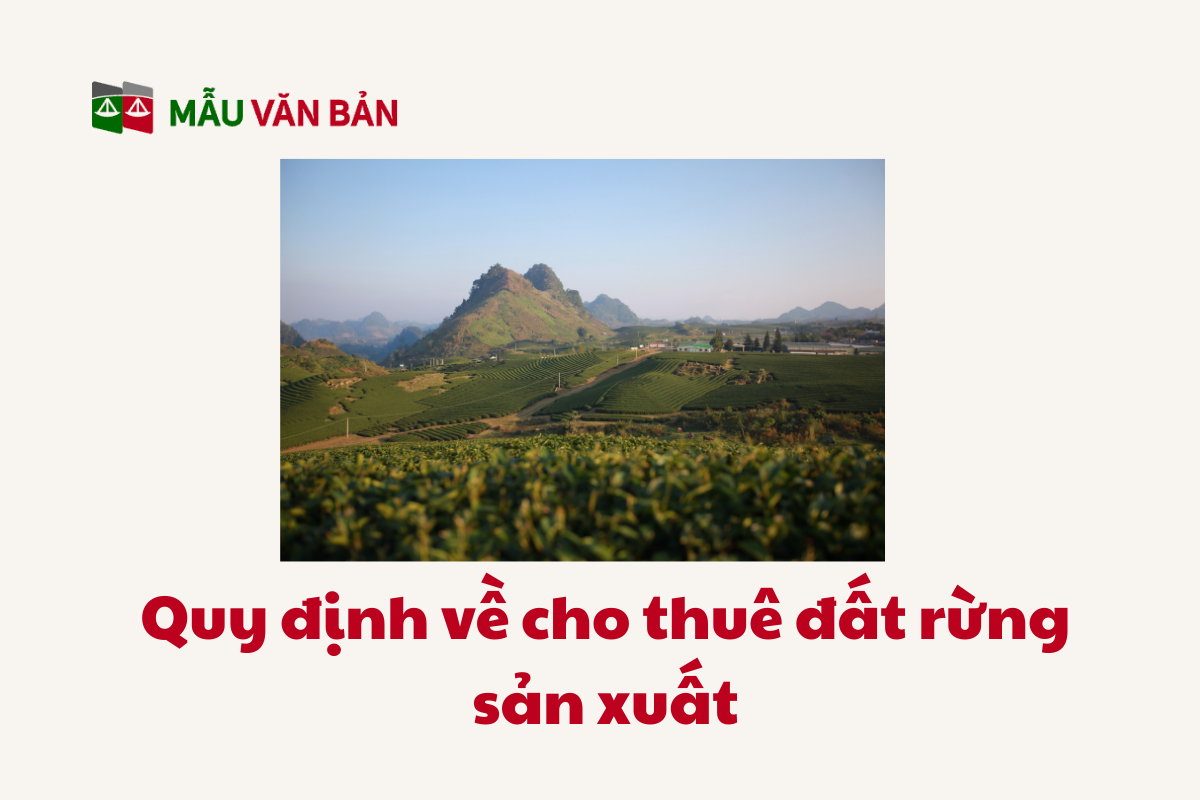 Đất Rừng_5.png