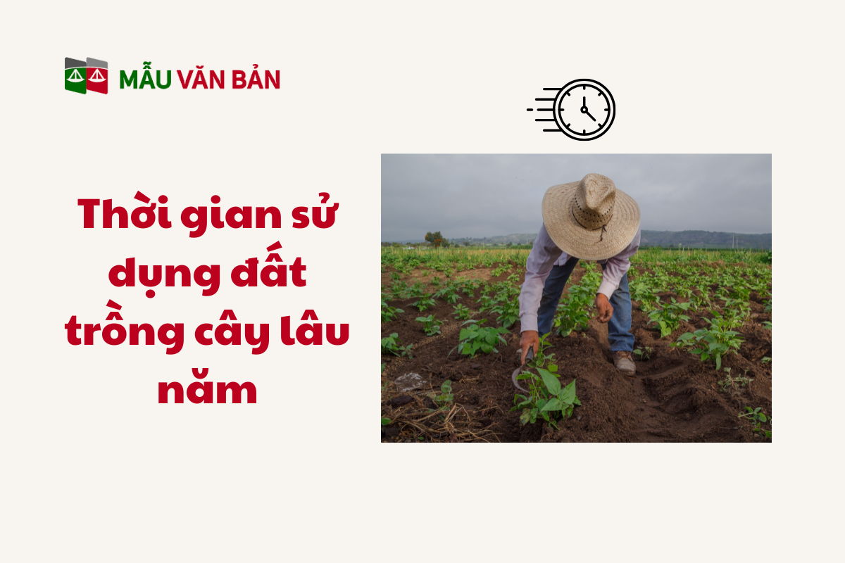 Đất Trồng Cây Lâu Năm_3.png