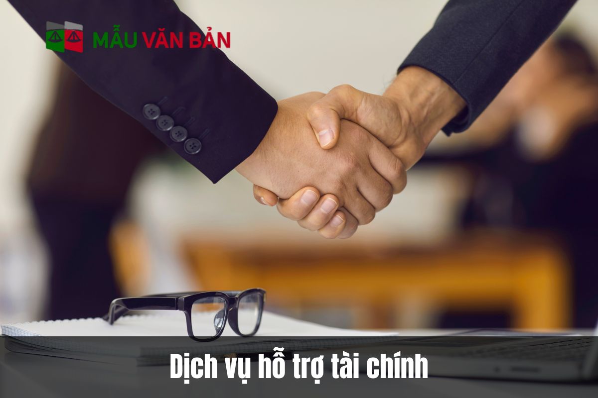 Dịch vụ hỗ trợ tài chính