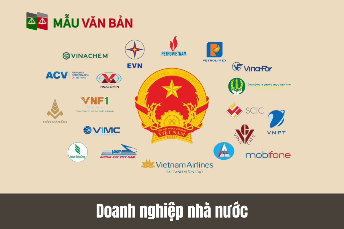 Doanh nghiệp nhà nước là gì