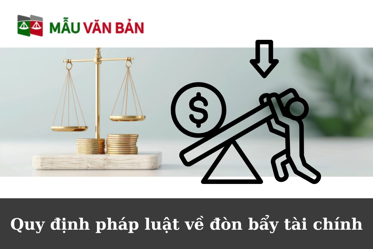 Đòn bẩy tài chính (1).jpg