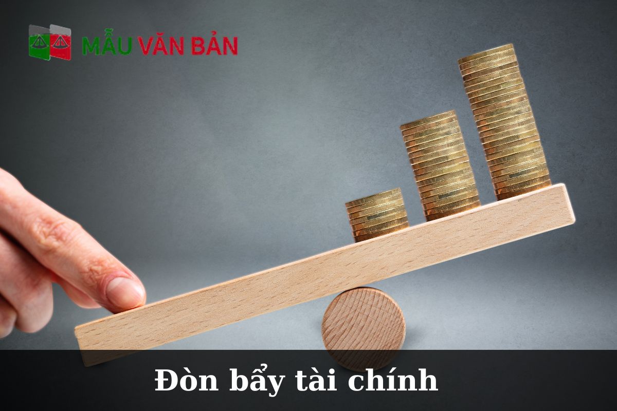 Đòn bẩy tài chính.jpg