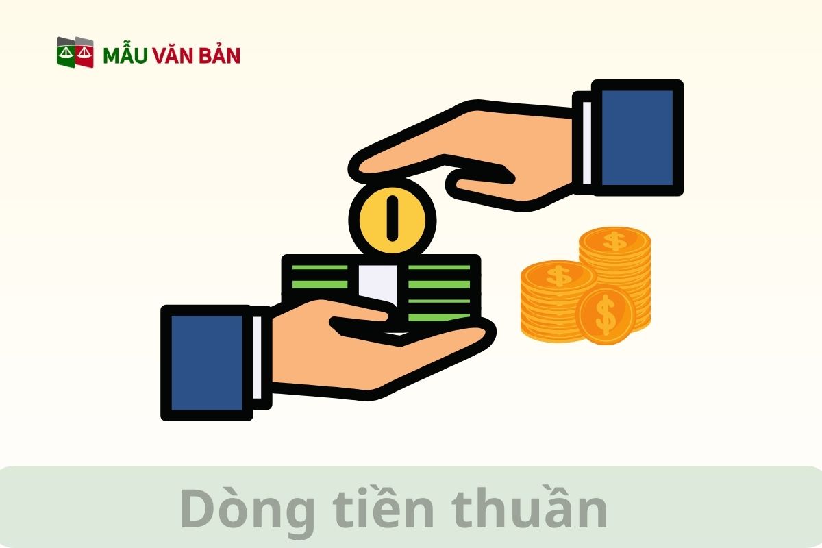 Dòng tiền thuần.jpg