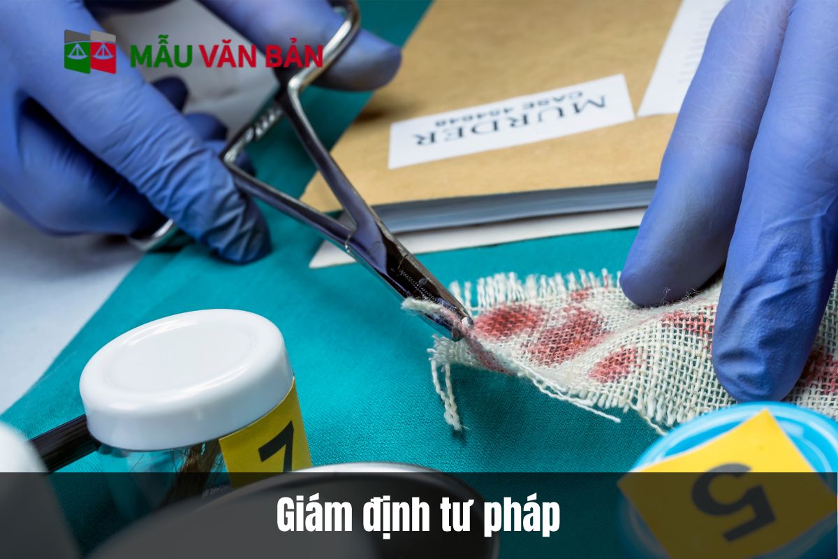 Giám định tư pháp là gì