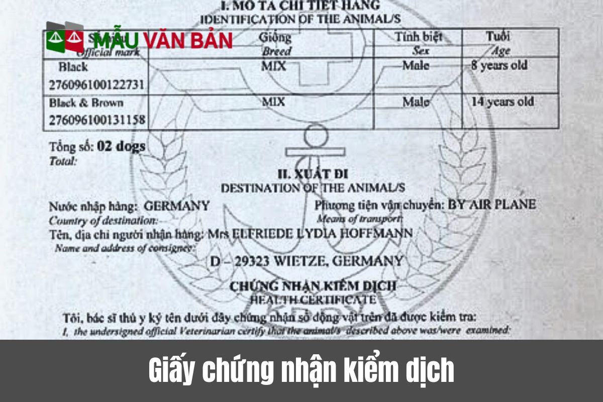 Giấy chứng nhận kiểm dịch