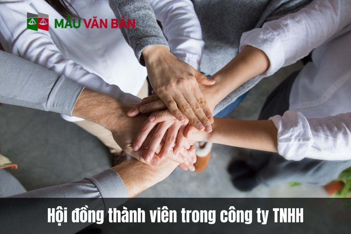 Hội đồng thành viên trong công ty TNHH