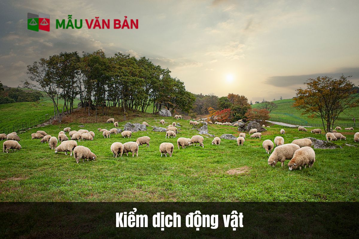 Kiểm dịch động vật
