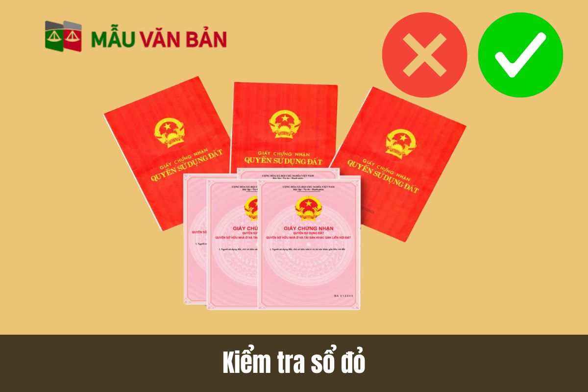 Kiểm tra thông tin để loại trừ rủi ro