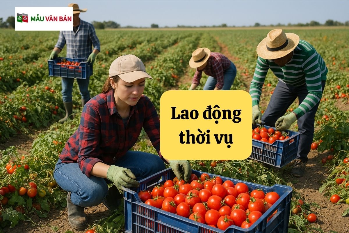 Lao động thời vụ.jpg