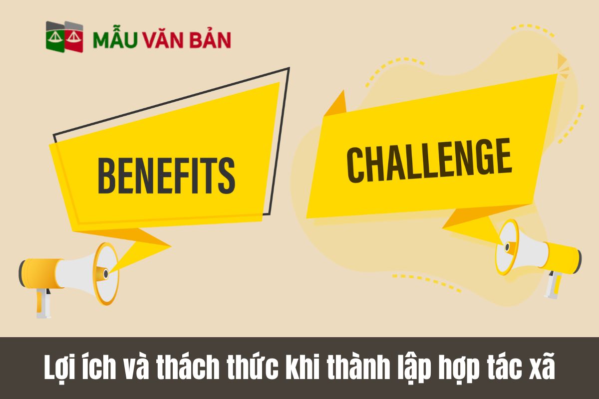 Lợi ích và thách thức khi thành lập hợp tác xã
