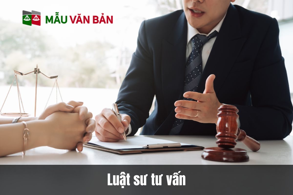 Luật sư tư vấn luật đất đai những nội dung gì?