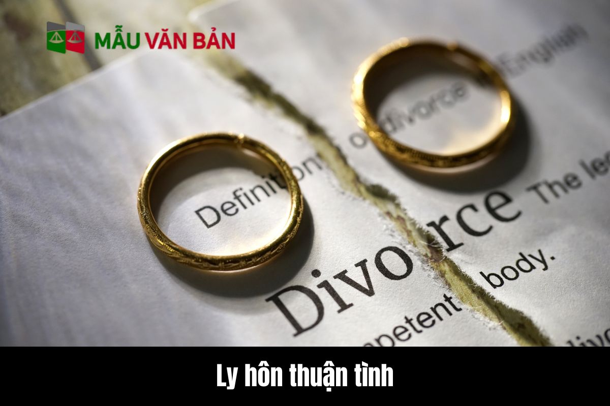 Ly hôn thuận tình là gì?