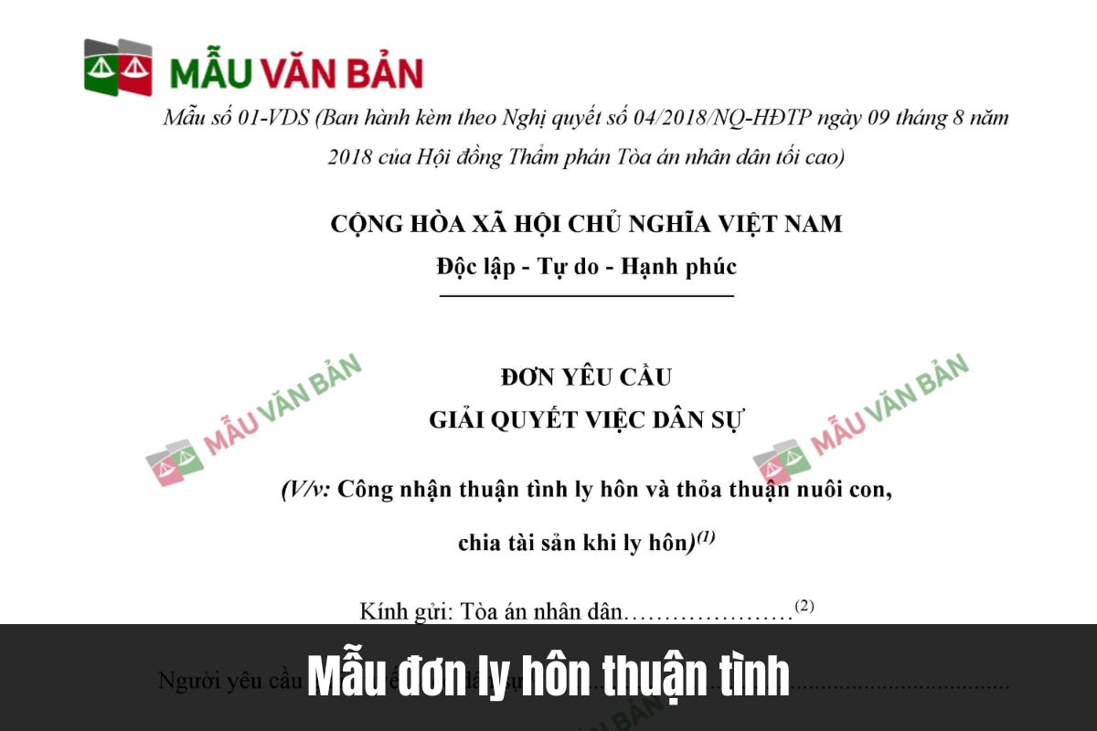 Mẫu đơn ly hôn thuận tình