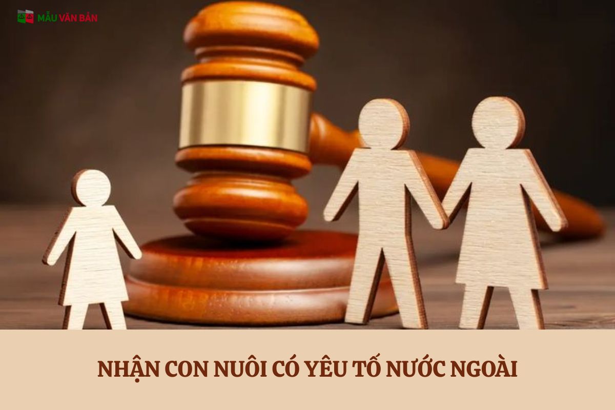 NHẬN CON NUÔI CÓ YÊU TỐ NƯỚC NGOÀI.jpg
