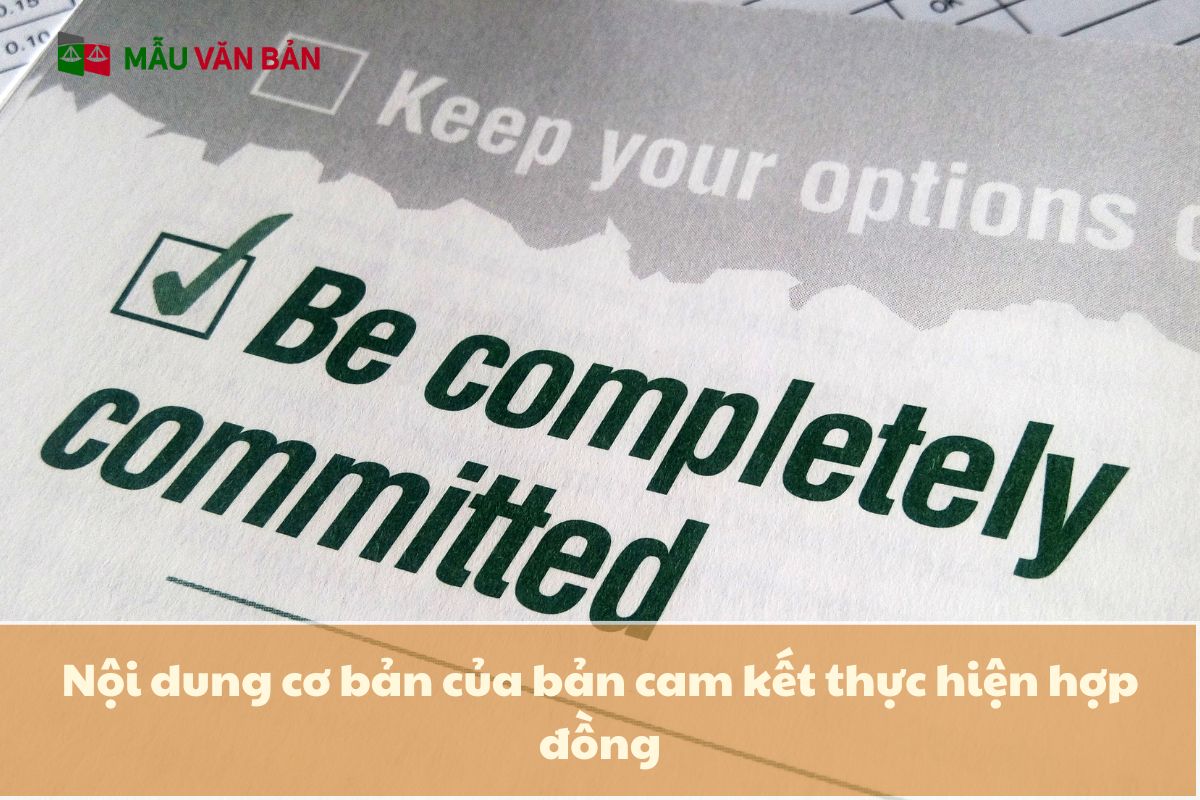 Nội dung cơ bản của bản cam kết thực hiện hợp đồng.jpg