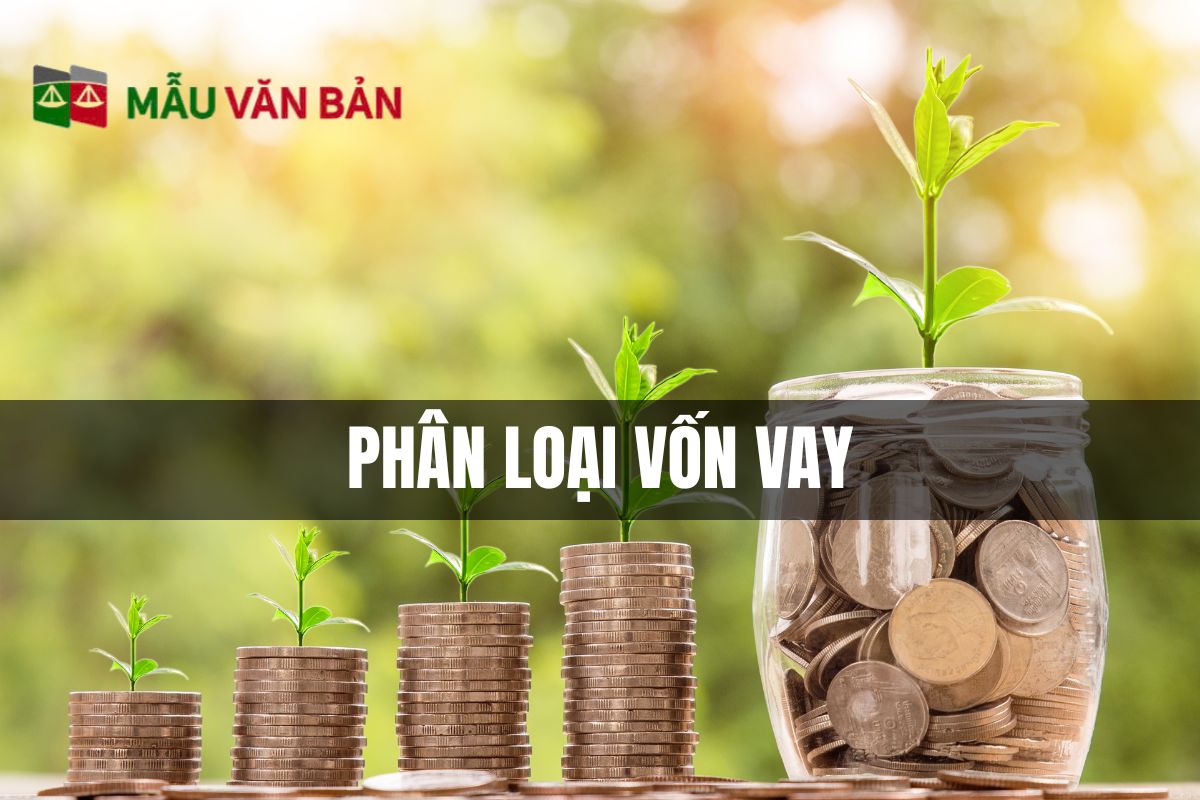 PHÂN LOẠI VỐN VAY (1).jpg