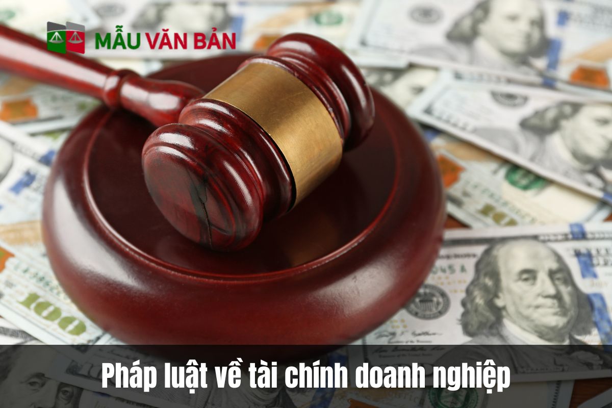 Pháp luật về tài chính doanh nghiệp